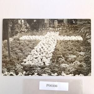 Real Photo Postcard Spring Flower Show 1949 Phipps Conservatory Pittsburgh PA